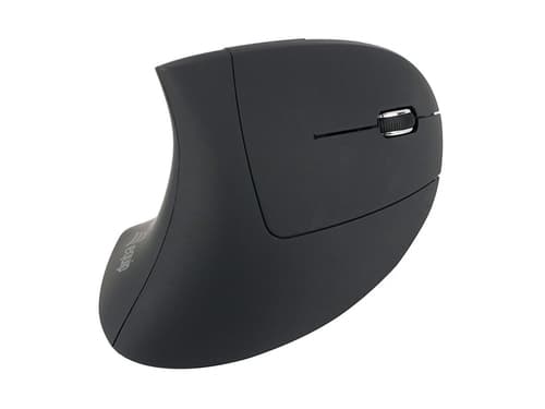 Equip 245110 mouse Mano destra RF Wireless Ottico 1600 DPI