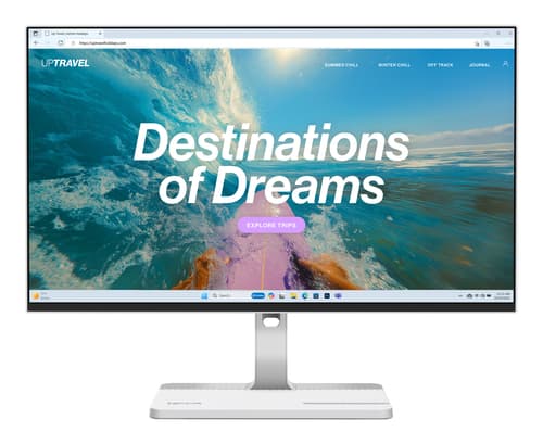 Lenovo L24D-4C Monitor