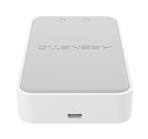Keenetic Linear (KN-3110) Adattatore USB per telefono analogico a doppia porta