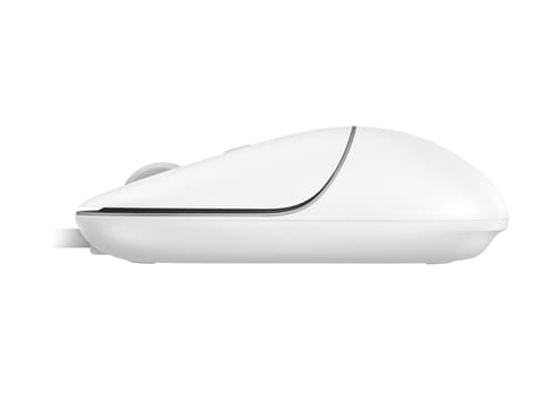 Conceptronic REGAS02W mouse Universale Ambidestro USB tipo-C Ottico 2400 DPI