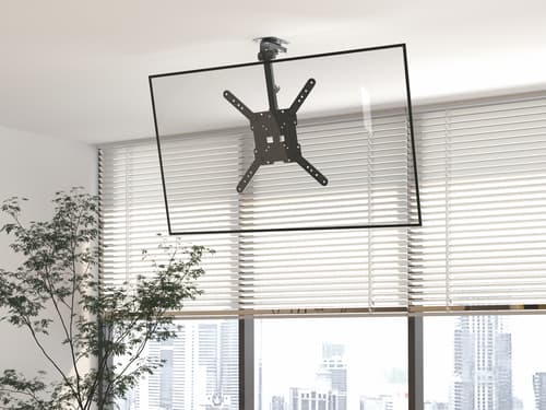 Equip Staffa per TV a soffitto da 23” a 55”