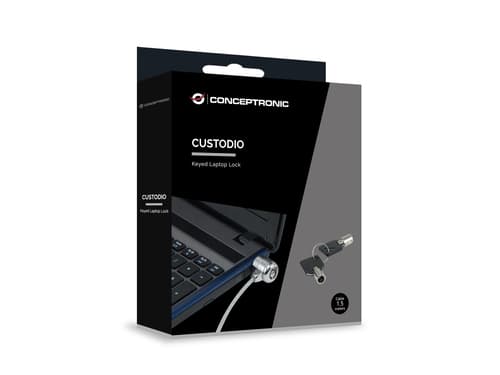 Conceptronic CNBSLOCK15 cavo di sicurezza Argento 1,5 m