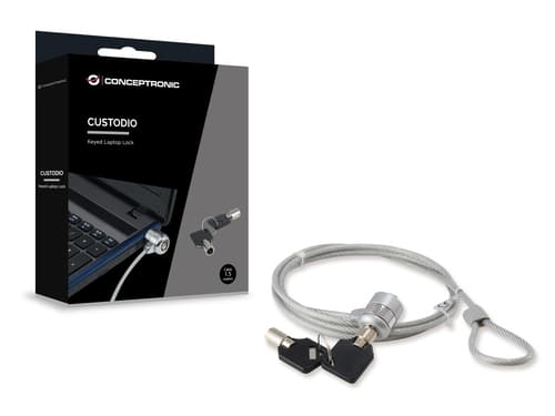 Conceptronic CNBSLOCK15 cavo di sicurezza Argento 1,5 m